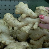 Imbir lekarski (Zingiber officinale) Imbir lekarski (Zingiber officinale)