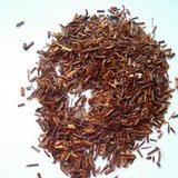 Aspalat prosty (Aspalathus linearis) Aspalat prosty (Aspalathus linearis)