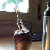 Yerba mate (Ilex paraguariensis)