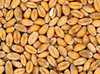 Produkty zawierające gluten