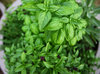 Naturalna ochrona