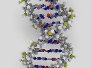 Ludzkie DNA: czy można je opatentować?