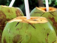 Woda kokosowa – właściwości i zastosowanie
