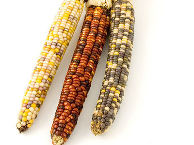 GMO: gdzie szukać genetycznie zmodyfikowanej żywności?