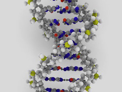 Ludzkie DNA: czy można je opatentować?