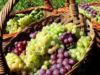Jedzenie winogron związane z generalnie zdrowszym odżywianiem