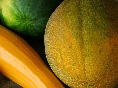 Sok z gorzkiego melona zapobiega rozwojowi raka trzustki