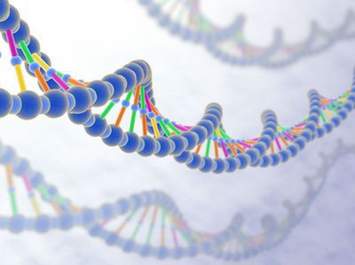 Dziedziczna mutacja w genach może być przyczyną dysfunkcji ruchowej i psychicznej