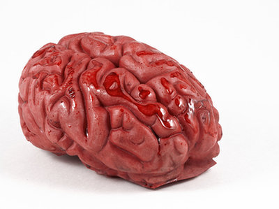BigBrain – najnowocześniejszy model ludzkiego mózgu