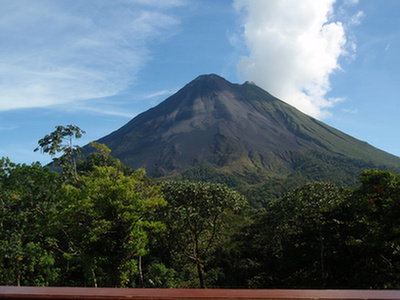 Zbocza wulkanów goszczą życie, mimo ekstremalnych warunków